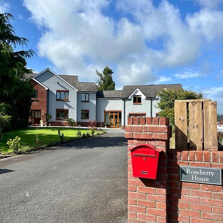 Bed and Breakfast Roseberry House Newcastle Emlyn Exteriér fotografie