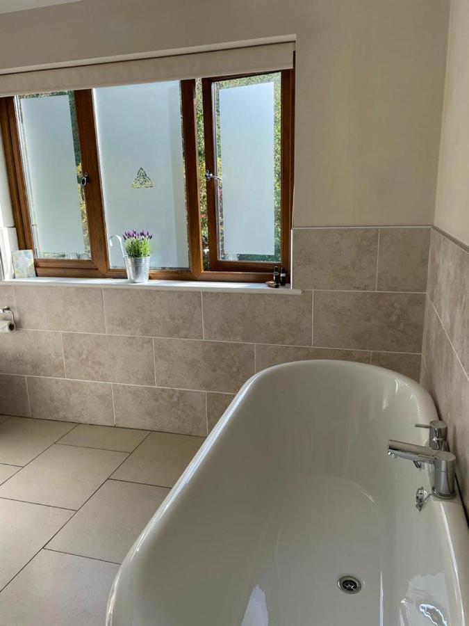 Bed and Breakfast Roseberry House Newcastle Emlyn Exteriér fotografie